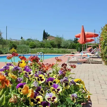 Tana De Lepri Colle Val D'Elsa